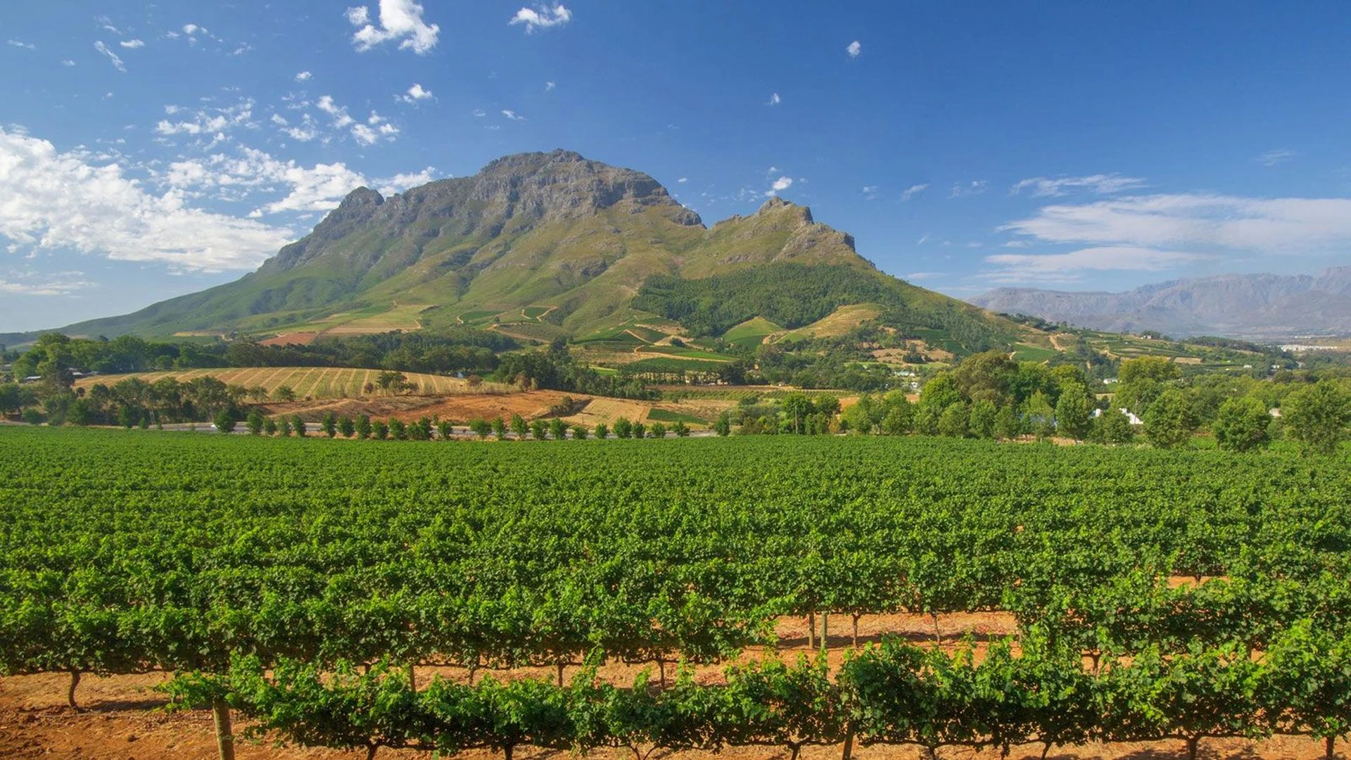 Paarl Wine Route 2025: Estates, Spice Route, Afrikaans Taalmonument & Tours