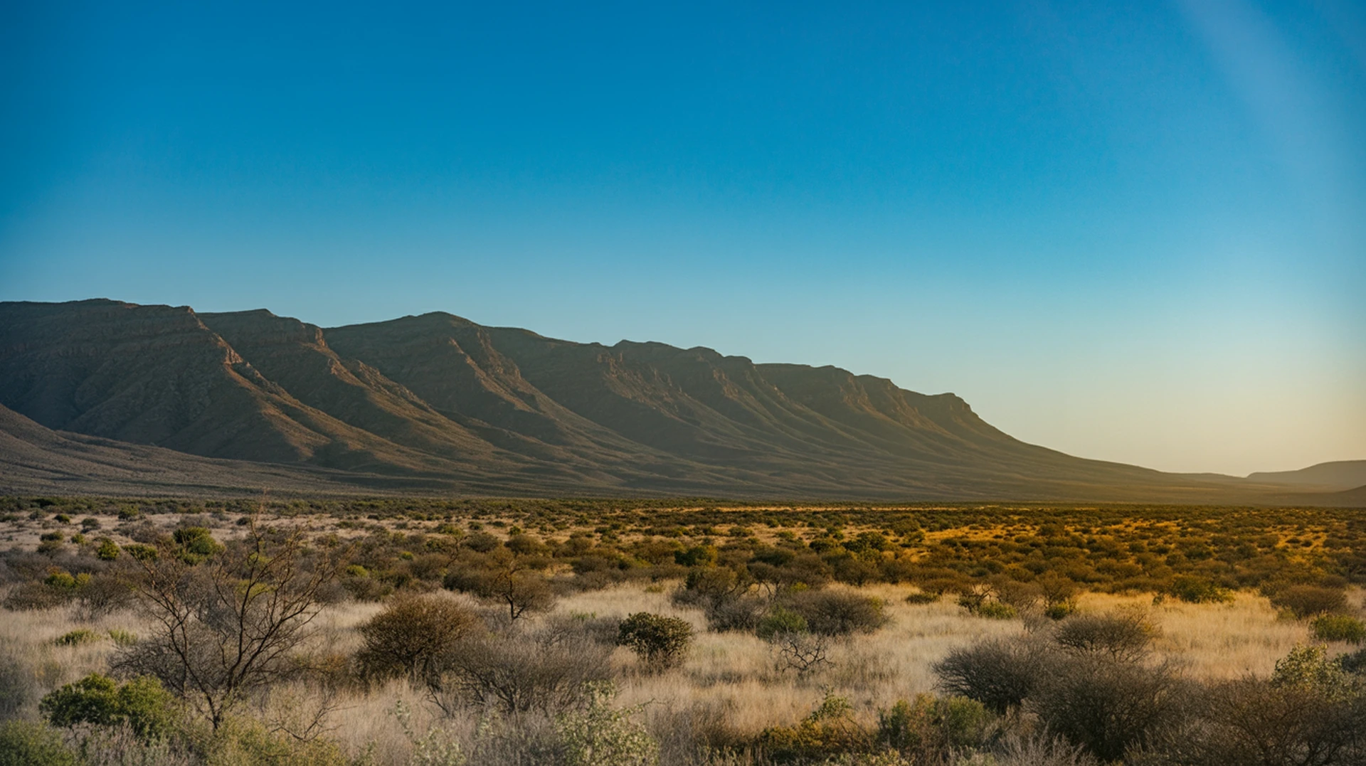 Sanbona Wildlife Reserve 2025: White Lions, Luxury Lodges & Klein Karoo Safari