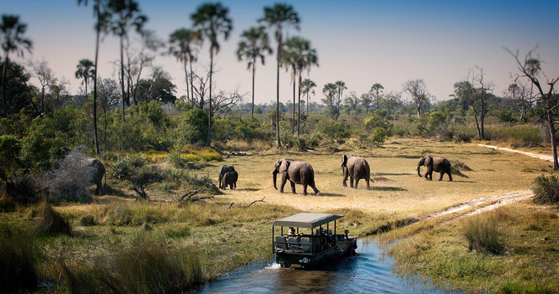 Chobe National Park, Botswana — one of Africa's best safari parks