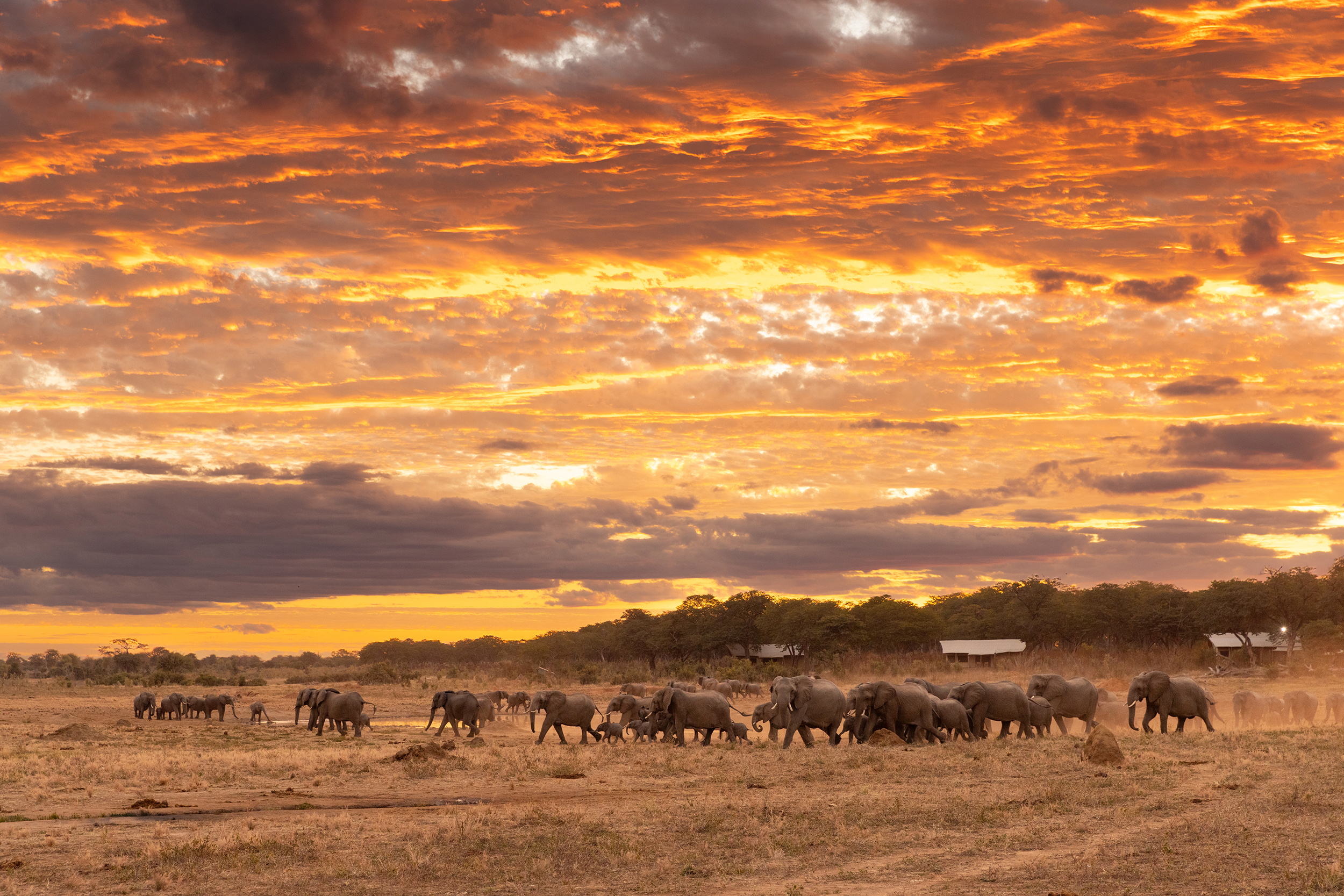 Hwange National Park, Zimbabwe — one of Africa's best safari parks