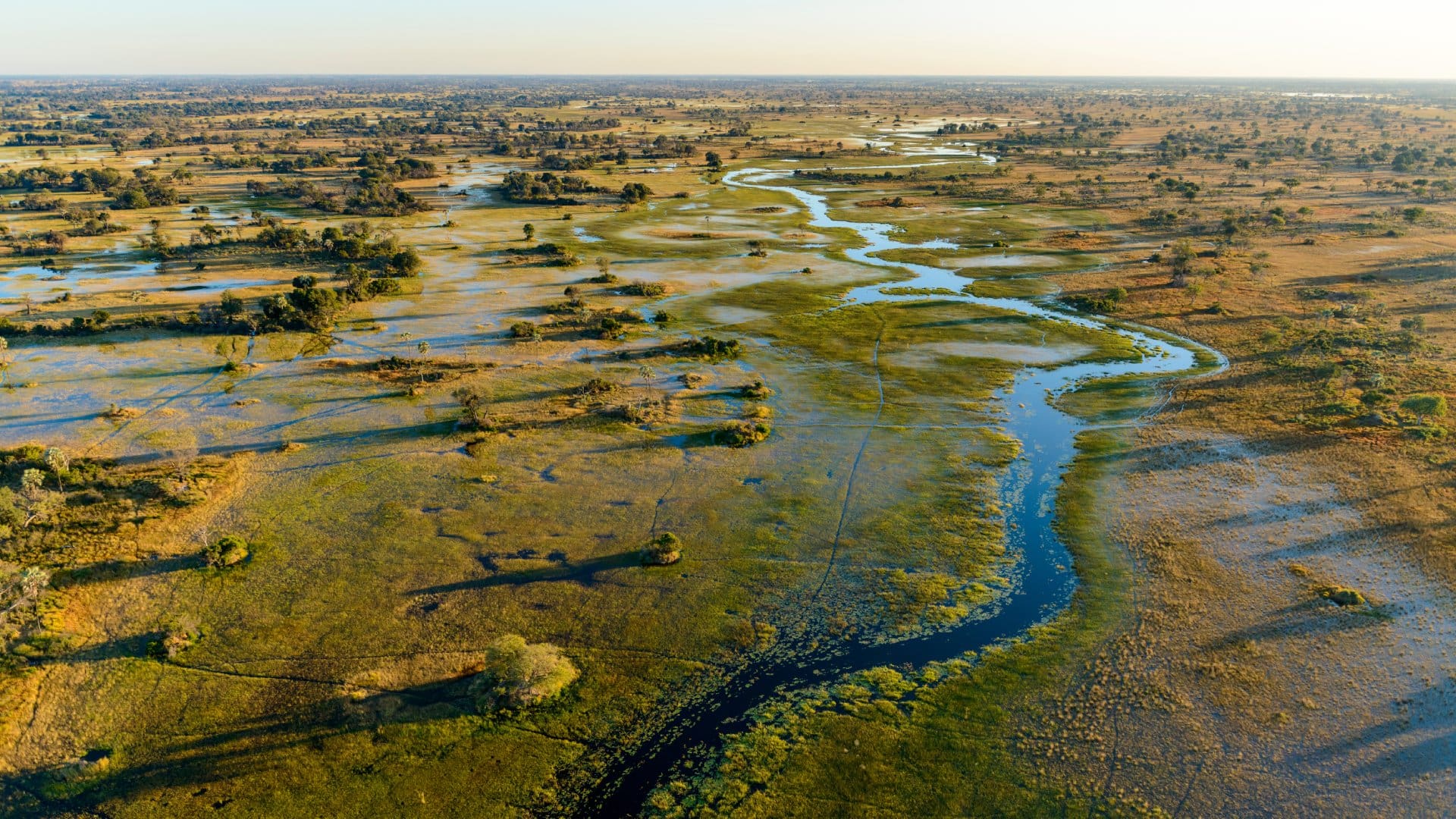Okavango Delta, Botswana — one of Africa's best safari parks