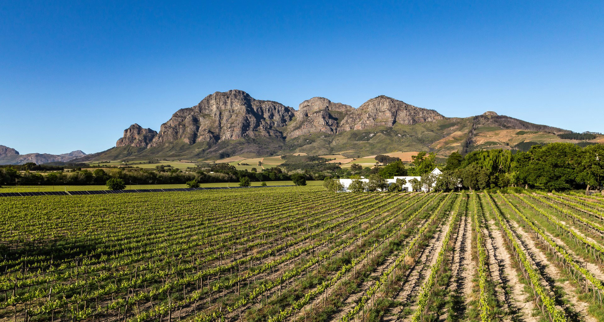 Franschhoek Wine Tram Hop-On Hop-Off with Transfers — Photo 3