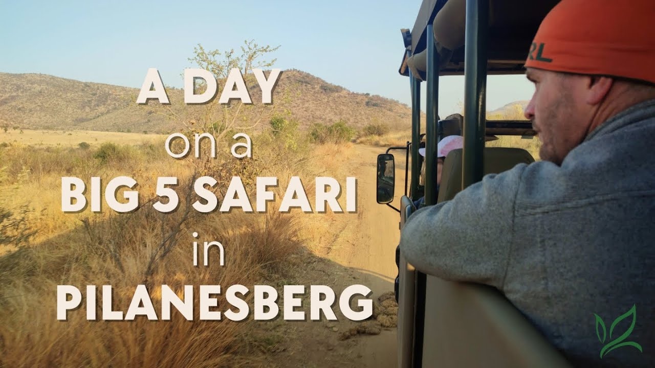 Pilanesberg Big 5 Safari Day Trip