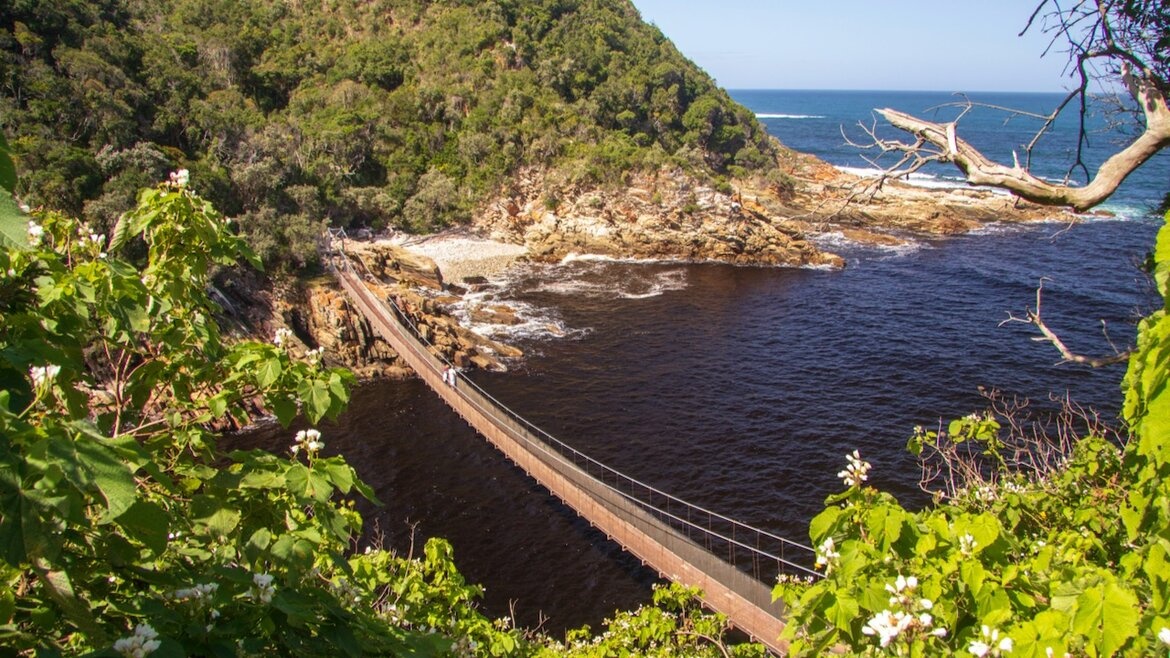 Tsitsikamma National Park Day Hike
