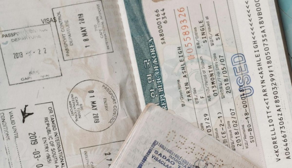 Safari Visa Guide 2025: Entry Requirements for Every African Safari Country